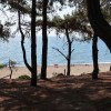 080_skala partja